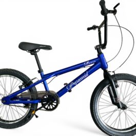 PYRAMID 20” BMX REVO