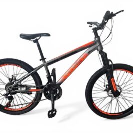 PLANET 24” TRENDY MTB